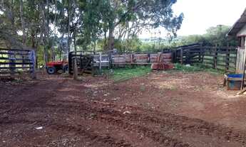 Imagem 7: Belíssima Fazendinha com 48 ha em Campos Novos - SC