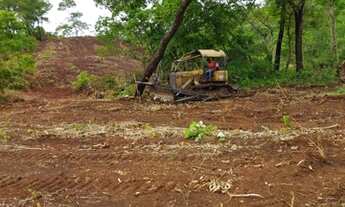 Imagem 7: Fazenda 122 alqueires a venda em Niquelândia - GO