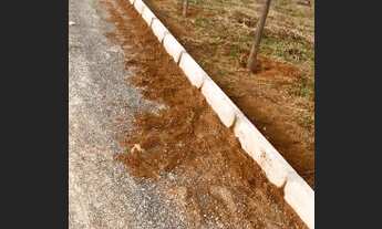 Imagem 7: Lote Particular 400m de esquina 2 entradas, Rua 4, Cond. Bella vista. 26 de Setembro