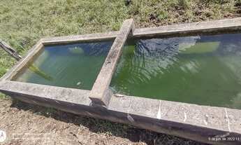 Imagem 4: 150 hectares fazendinha pronta documentada por R$ 2.7 milhões