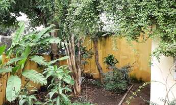 Imagem 2: Ótima casa Residencial ou Comercial - Próximo Av. Pompéia - Estação Vila Madalena