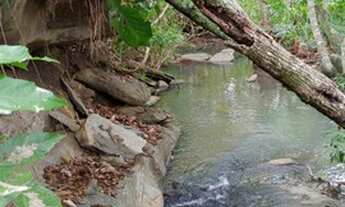 Imagem 4: Chácara em mairipotaba a 80 km de Goiânia com corrego energia chacaras 20.000 metros