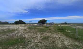 Imagem 6: Fazenda em Est. da Caieira - Mostardas