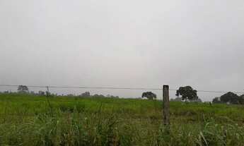 Imagem 15: Venda Fazenda Municipal Jangada, 1.300 hectares, Topografia Plana Levemente Ondulada - MT