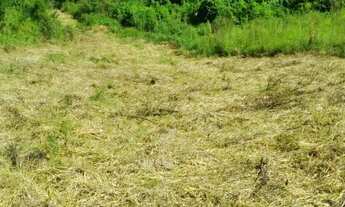 Imagem 3: TERRENO Á VENDA COM FÁCIL ACESSO!