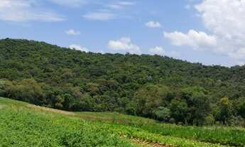 Imagem 7: Grande oportunidade