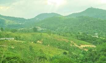 Imagem 3: Lote/Terreno para venda possui 1000 metros quadrados em SOL NASCENTE - BAIRRO JARDIM AMER