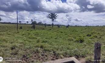 Imagem 3: 150 hectares fazendinha pronta documentada por R$ 2.7 milhões