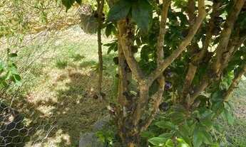 Imagem 7: Casa à venda em condomínio no Bairro Rosário Atibaia/SP