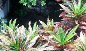 Imagem 4: Sobrado com 3 dormitórios à venda, 250 m² por R$ 1.900.000,00 - Ipiranga - São Paulo/SP