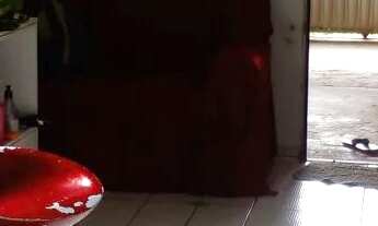 Imagem 6: Casa de 2/4 no Porto laranjeiras