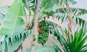 Imagem 7: Apartamento com 3 dormitórios para alugar, 76 m² por R$ 2.855,00/mês - Jardim Nova Taboão