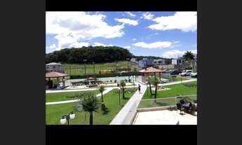 Imagem 5: Quinte Essence Melhor Lote disponível