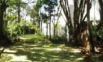 Imagem 3: Casa - Jardim das Paineiras - Campinas