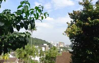 Imagem 5: JOINVILLE - Casa Padrão - SAGUAÇU