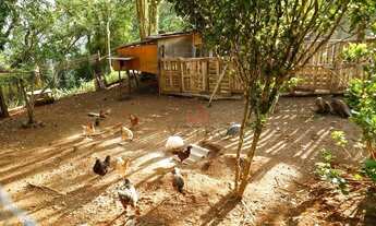 Imagem 6: Sítio na cidade de Canela!