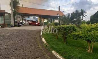 Imagem 6: Guarulhos - Casa Padrão - Jardim Guilhermino