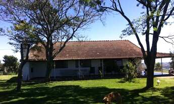 Imagem: Extraordinária Fazenda Pecuária no asfalto