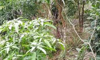 Imagem 2: Casa para venda possui 1700 metros quadrados com 2 quartos