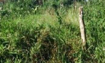 Imagem: Terreno à Venda, 240 M² Por R$ 42. - Centro