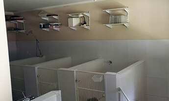 Imagem 4: CASA TÉRREA - CHÁCARAS SÃO CRISTÓVÃO - SP