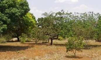 Imagem 6: Chácara Próxima a Brazlândia