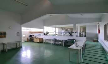 Imagem 4: Área na BR-153 com 6.068 m²