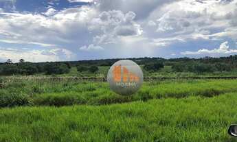 Imagem 5: Fazenda com 2 dormitórios à venda, 2613600 m² por R$ 16.200.000,00 - Zona Rural - Indiara