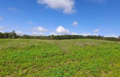 Imagem 5: Terreno dos sonhos em Cotia