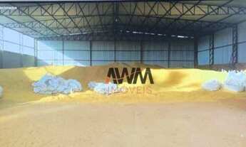 Imagem 3: Fazenda à venda, 7018000 m² por R$ 30.000.000,00 - Centro - Divinópolis do Tocantins/TO