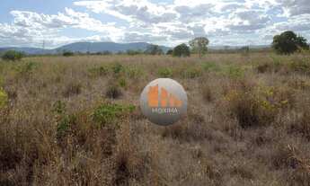 Imagem: Fazenda com 2 dormitórios à venda, 7018000