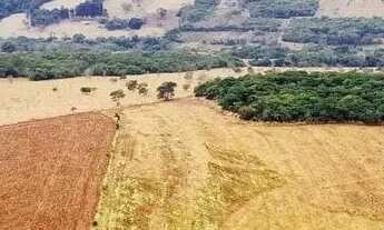Imagem 7: Fazenda 80 alq em Leopoldo de Bulhões