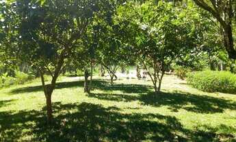 Imagem 3: Chácara com 3 dormitórios à venda, 15000 m² no bairro Galera - Canelinha/SC