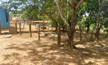 Imagem 3: Fazenda/Sítio/Chácara para venda com 2000000 metros quadrados em Centro - Novorizonte - MG