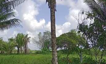 Imagem: Vendo maravilhoso sítio em jaguaripe