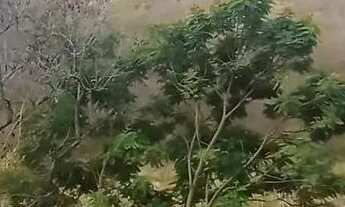 Imagem 11: Apartamento a venda no Vila Isa com 2 quartos luxo