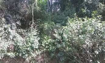 Imagem 2: Terreno à venda em Roseira - SP