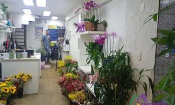 Imagem 5: LOJA - BELA VISTA - SP