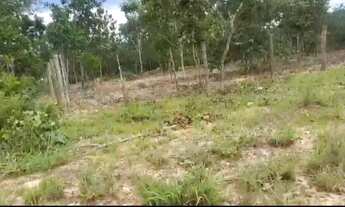 Imagem 5: LOTE SERRA DA MESA EM COLINAS DO SUL G.O