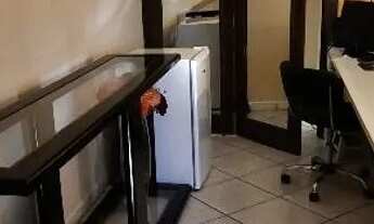 Imagem: Casa/sobrado