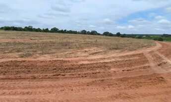 Imagem 3: 9.69 Alqueires em COSMORAMA - SP (8 alqueires de CANA)