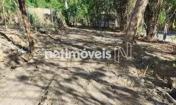 Imagem 6: LOTE PLANO BAIRRO ARBORIZADO