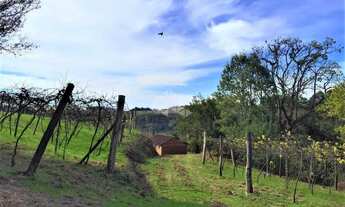 Imagem 2: Sítio próximo ao centro da cidade