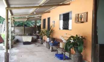 Imagem: Fazendinha 40 mil metros, riacho nos fundos