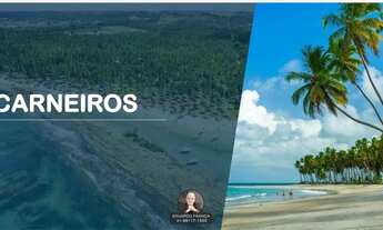 Imagem 3: SAIBA TUDO AGORA EM 1ª MÃO - COSTA DOS COQUEIROS DUE PRAIA DOS CARNEIROS LINDOS APARTAMENT