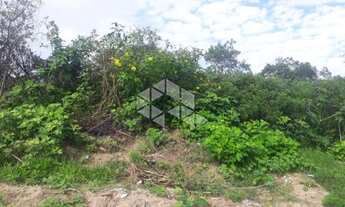 Imagem 7: Terreno no bairro São João do Rio Vermelho em Florianópolis/SC