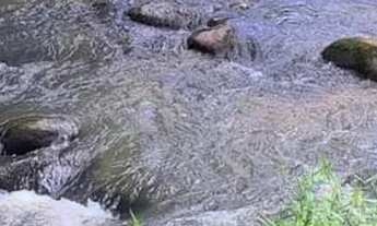 Imagem: Oportunidade Imperdível! Terrenos à Venda