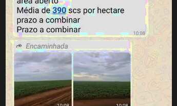 Imagem 6: Fazenda 3.364hec em Lucas do rio verde, 1.800 abertos R$:700 sacas área aberta
