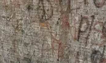 Imagem 2: TERRENO EM RUA FECHADA NO SANTA CRUZ