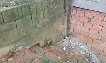 Imagem 4: Terreno bom,ótima oportunidade